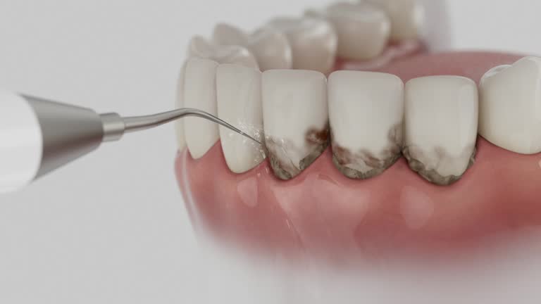 Reliable Dental contractor in North Bend, OH by Dentist Open Now